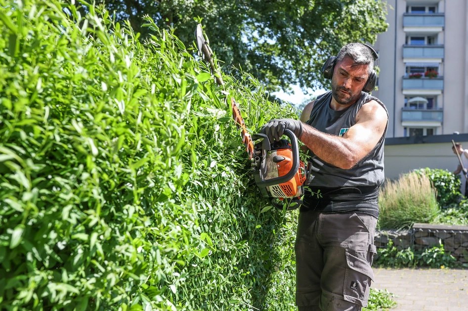 Siedlungspflege & Baumdienst